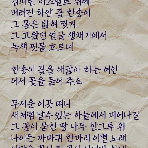 피드 이미지