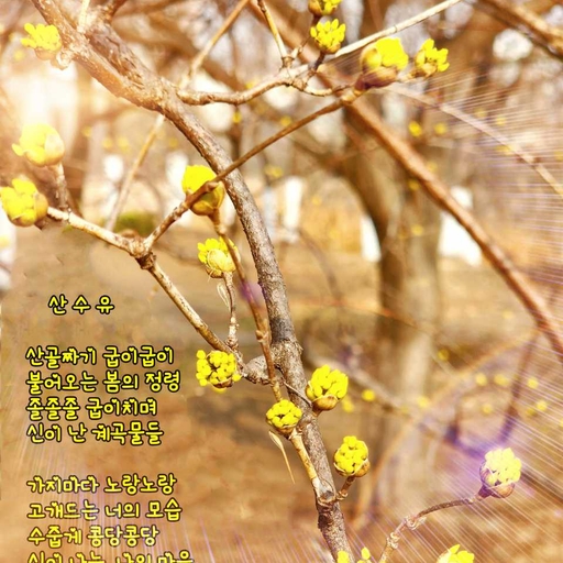 피드 이미지
