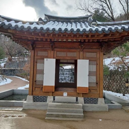 피드 이미지