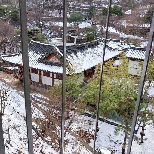 피드 이미지