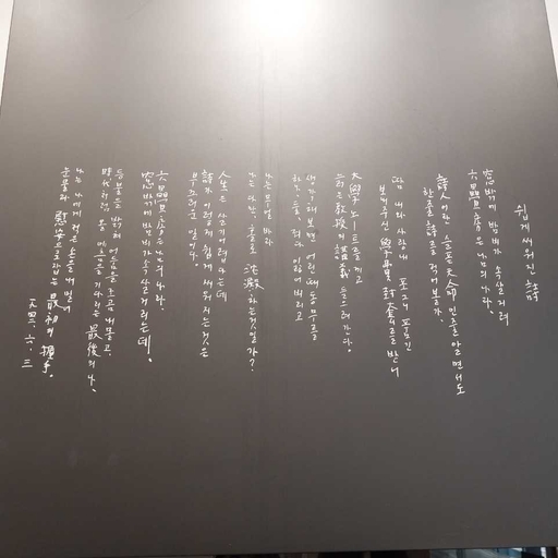 피드 이미지