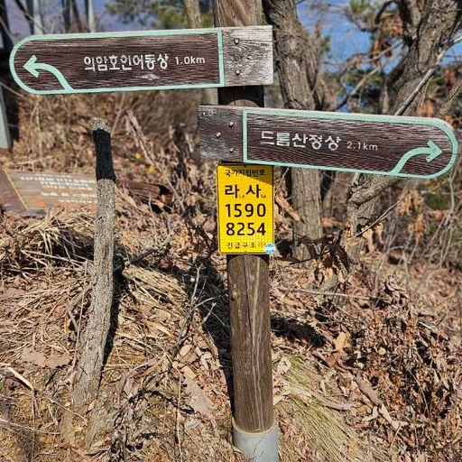 피드 이미지