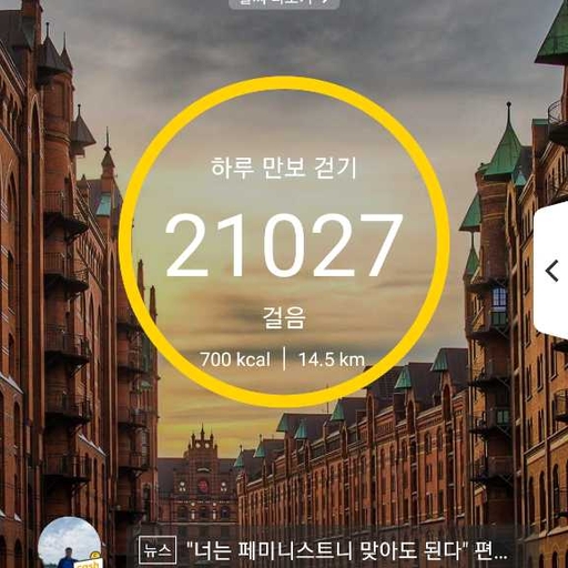 피드 이미지