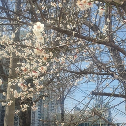 피드에 업로드 된 이미지