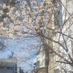 피드에 업로드 된 이미지