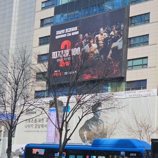 피드 이미지