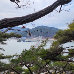 피드에 업로드 된 이미지