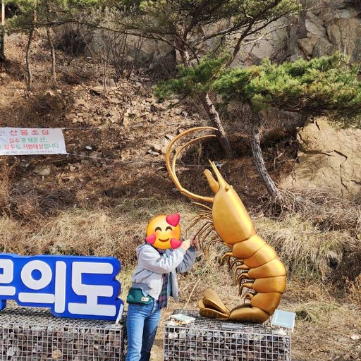 피드 이미지