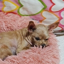 ๋ฉค๋ฒ ํ๋กํ
