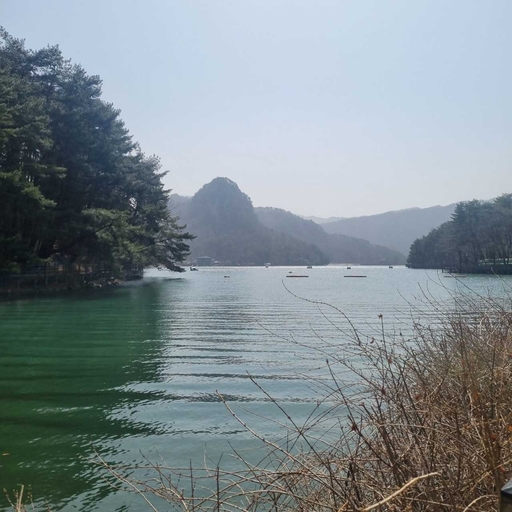 피드 이미지
