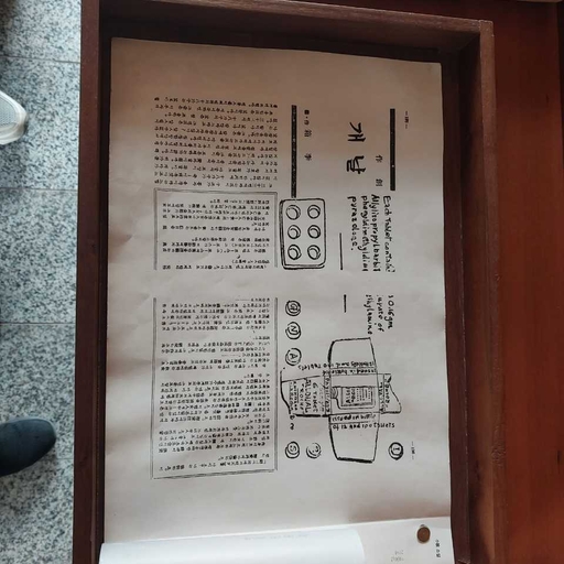 피드 이미지