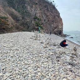 피드에 업로드 된 이미지