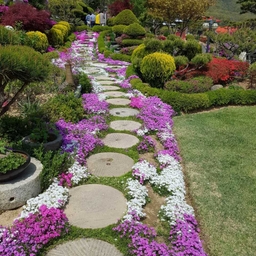 피드에 업로드 된 이미지