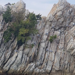 피드에 업로드 된 이미지