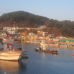 피드에 업로드 된 이미지