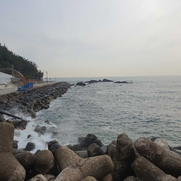 피드에 업로드 된 이미지