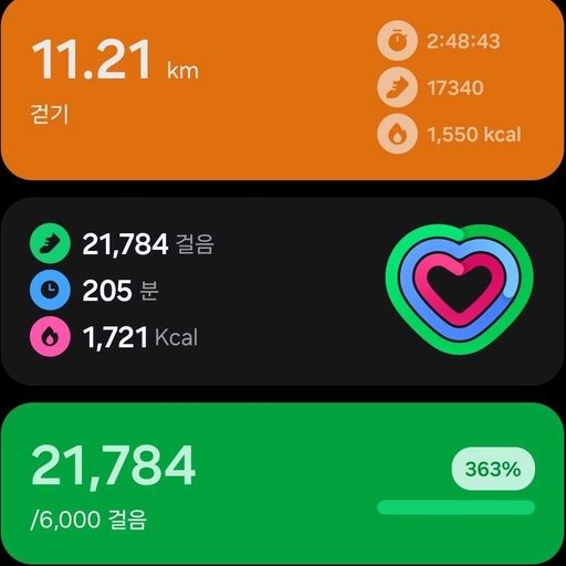 피드 이미지