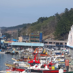 피드에 업로드 된 이미지