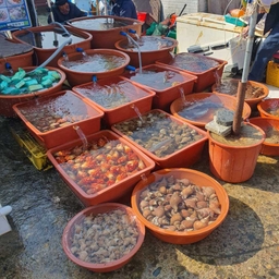 피드에 업로드 된 이미지