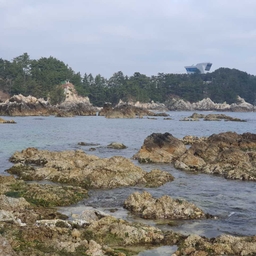 피드에 업로드 된 이미지