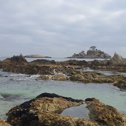 피드에 업로드 된 이미지