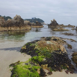 피드에 업로드 된 이미지