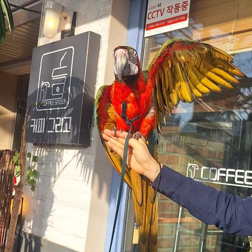 피드 이미지