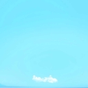 멤버 프로필
