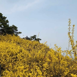 피드에 업로드 된 이미지