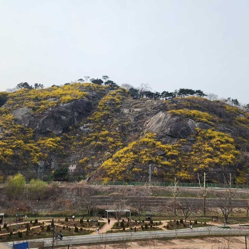피드 이미지