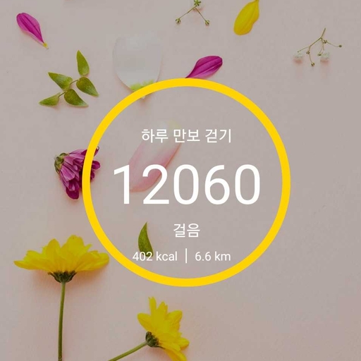 피드 이미지