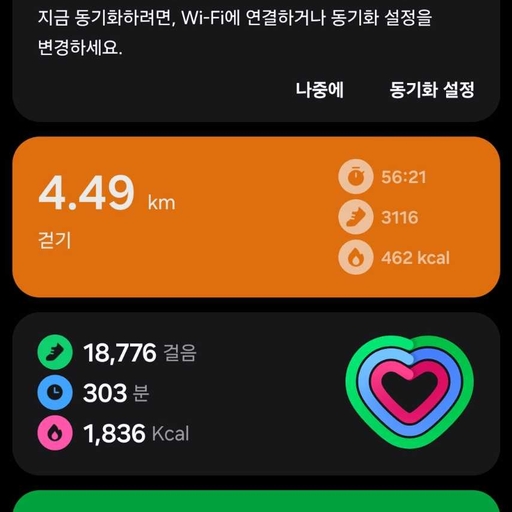 피드 이미지