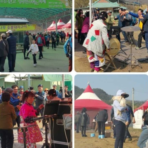 피드 이미지