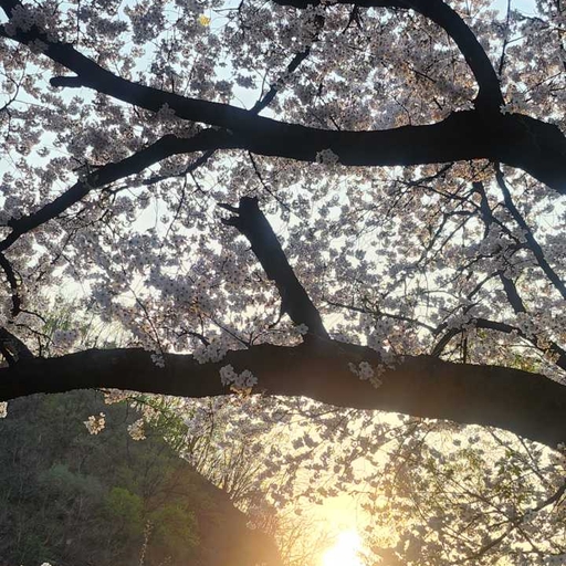 피드 이미지