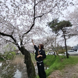 ํผ๋์ ์
๋ก๋ ๋ ์ด๋ฏธ์ง