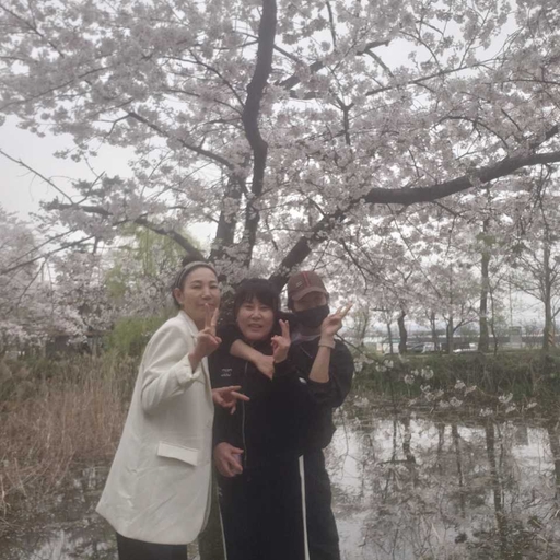 피드 이미지
