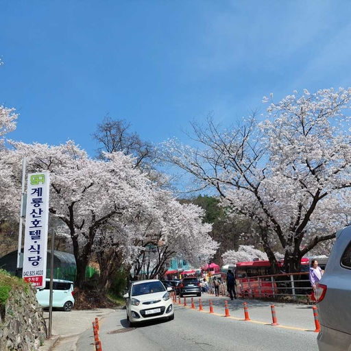 피드 이미지