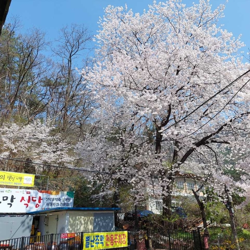 피드 이미지