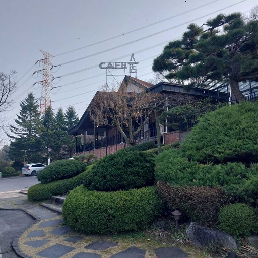 피드 이미지