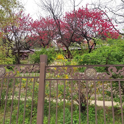 피드 이미지