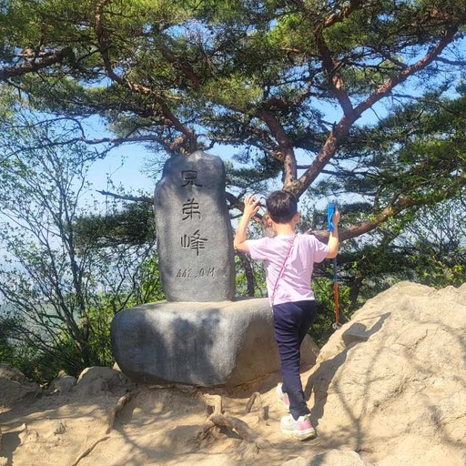 피드 이미지