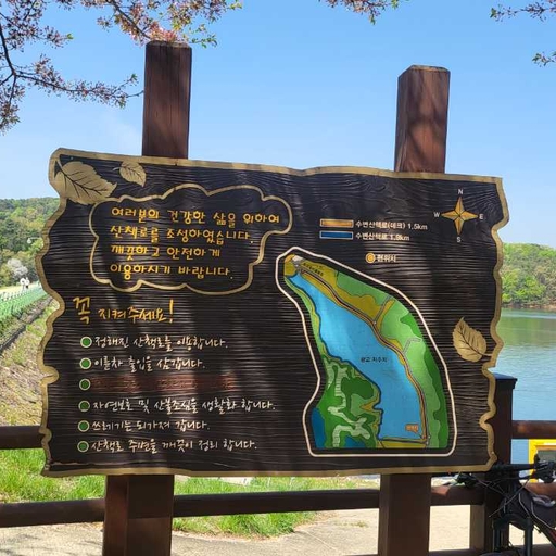 피드 이미지