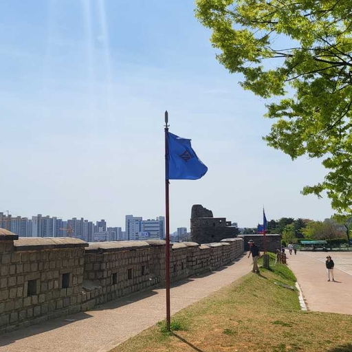 피드 이미지