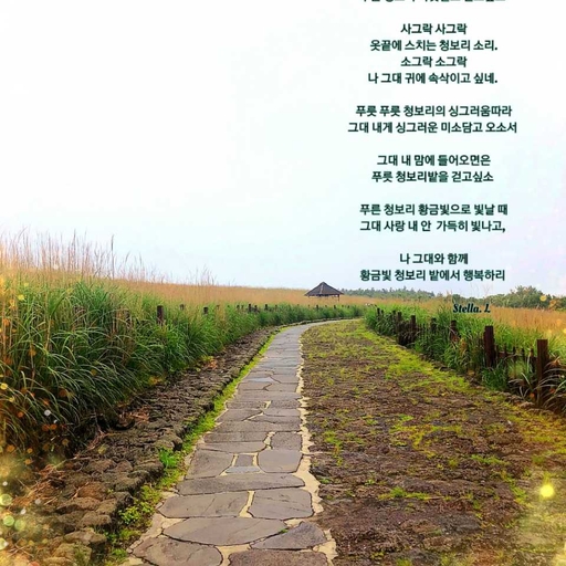 피드 이미지