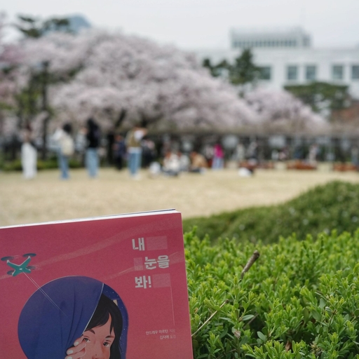 피드 이미지