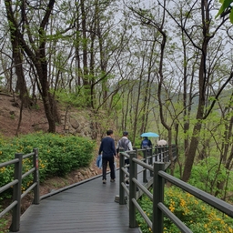 피드에 업로드 된 이미지