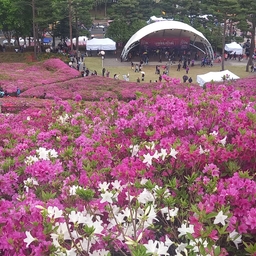 피드에 업로드 된 이미지