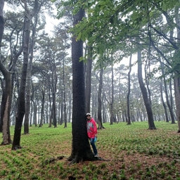 피드에 업로드 된 이미지
