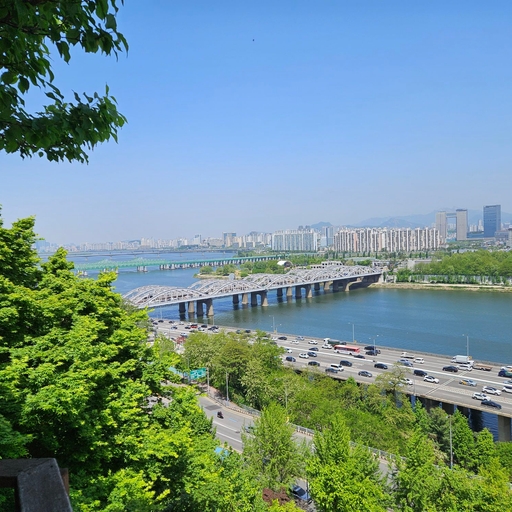 피드 이미지