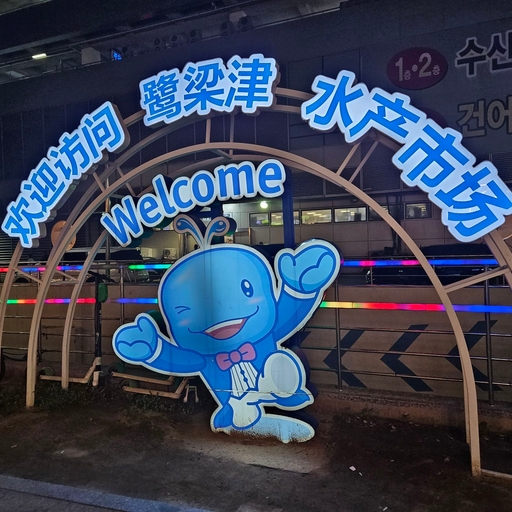 피드 이미지